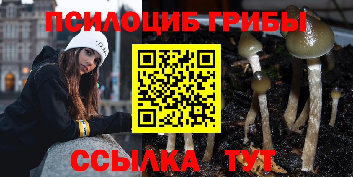 Сокол  Галлюциногенные грибы мицелий  Вход с VPN 