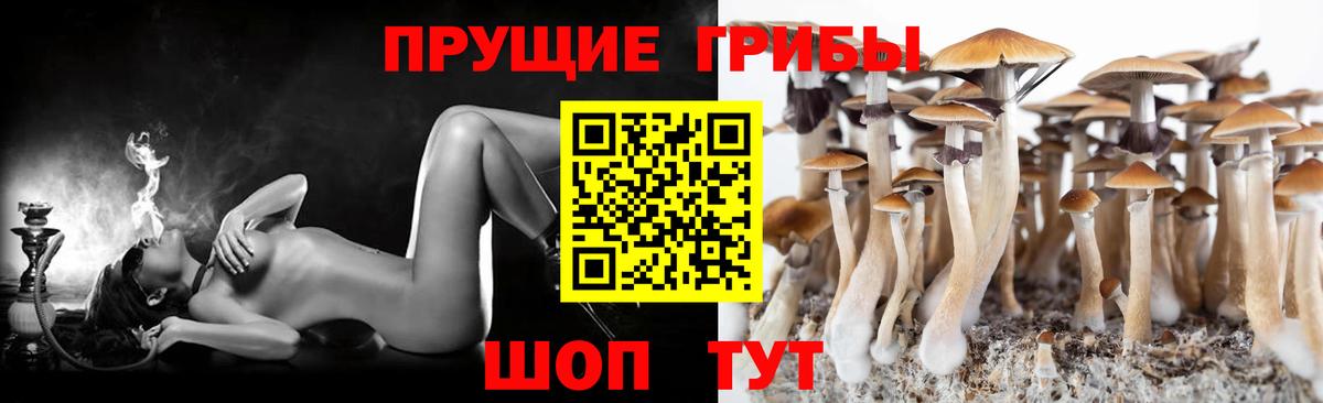 Галлюциногенные грибы мицелий Сокол